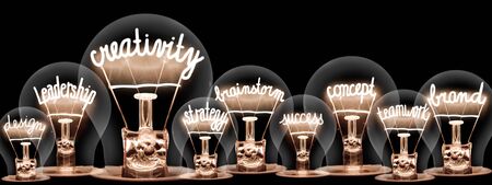 Photo of light bulbs with shining fibers in a shape of Creativity, Brainstorm and Innovation concept related words isolated on black backgroundの写真素材