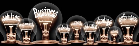 Photo of light bulbs with shining fibers in a shape of Business, Strategy, Solution and Performance concept related words isolated on black backgroundの写真素材