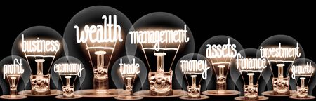 Group of light bulbs on coin stacks with shining fibers in a shape of Wealth Management, Business, Assets and Profit concept related words isolated on black backgroundの写真素材