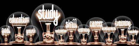 Photo of light bulbs with shining fibers in a shape of Study, Skill, Training and Education concept related words isolated on black backgroundの写真素材