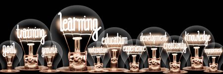 Photo of light bulbs with shining fibers in a shape of Learning, Training, Knowledge, Education and Goal concept related words isolated on black backgroundの写真素材