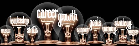 Photo of light bulbs with shining fibers in shapes of Career Growth, Goals, Skills, Strategy and Training concept related words isolated on black backgroundの写真素材