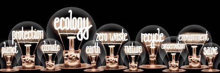 Photo of light bulb group with shining fibers in a shape of Ecology, Protection, Zero Waste and Recycle concept related words isolated on black backgroundの写真素材