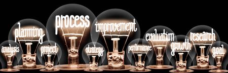 Photo of light bulbs with shining fibers in Process Improvement, Planning, Evaluation, Research and Growth shape isolated on black background.の写真素材