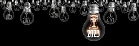 Horizontal group of shining light bulbs with fiber in a shape of New Year 2023 and dark light bulbs with years passed isolated on black background.の写真素材