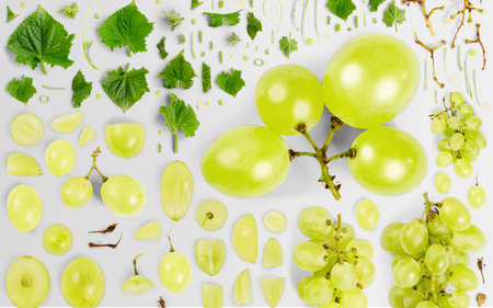 Green Wine fruit piece, slice and leaf collection. Flat lay, seamless abstract background.の写真素材
