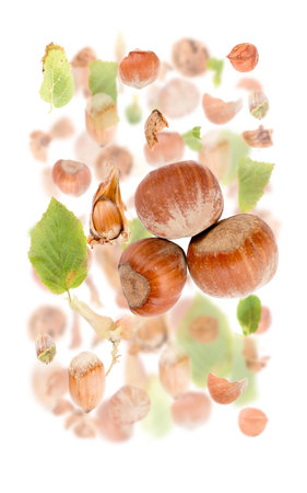 Abstract background made of Hazelnut pieces, slices and leaves isolated on white.の写真素材