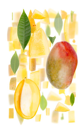 Abstract background made of Mango fruit pieces, slices and leaves isolated on white.の写真素材