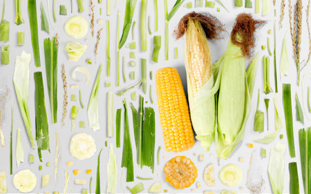 Abstract background made of Corn vegetable pieces, slices and leaves isolated on gray background.の写真素材