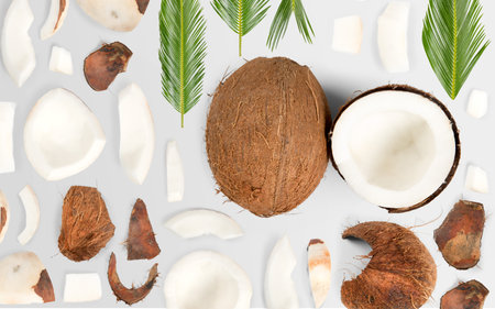 Abstract background made of Coconut fruit pieces, slices and leaves isolated on gray background.の写真素材