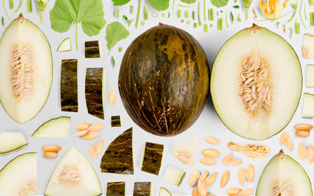 Abstract background made of Sugar Melon fruit pieces, slices and leaves isolated on gray background.の写真素材