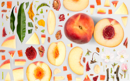 Abstract background made of Peach fruit pieces, slices and leaves isolated on gray background.の写真素材