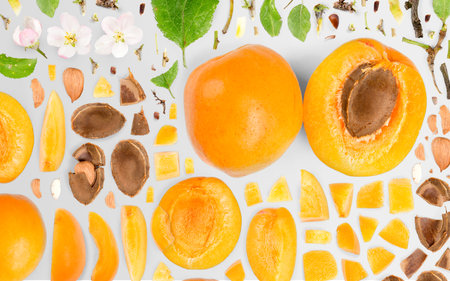 Abstract background made of Apricot fruit pieces, slices and leaves isolated on gray background.の写真素材