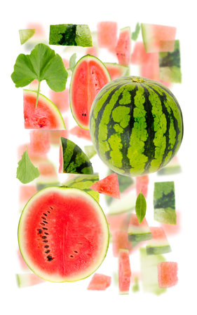 Abstract background made of Watermelon fruit pieces, slices and leaves isolated on white.の写真素材