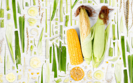 Abstract background made of Corn vegetable pieces, slices and leaves on wooden background.の写真素材