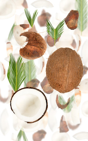 Abstract background made of coconut fruit pieces, slices and leaves isolated on white.の写真素材