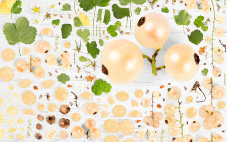 Abstract background made of White Currant fruit pieces, slices and leaves on wooden background.の写真素材