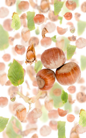 Abstract background made of Hazelnut pieces, slices and leaves isolated on white.の写真素材