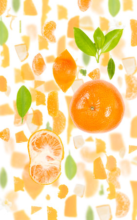 Abstract background made of Tangerine fruit pieces, slices and leaves isolated on white.の写真素材