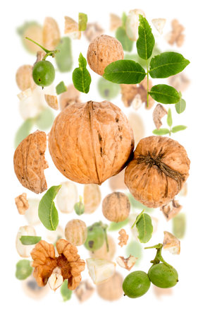 Abstract background made of Walnut pieces, slices and leaves isolated on white.の写真素材