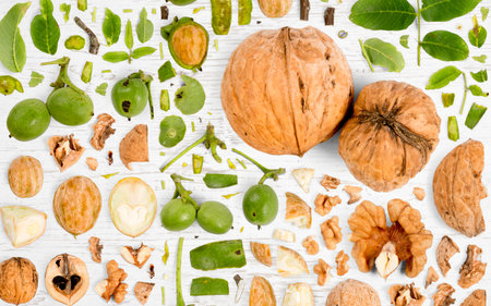 Abstract background made of Walnut pieces, slices and leaves on wooden background.の写真素材