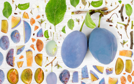 Abstract background made of Plum fruit pieces, slices and leaves on wooden background.の写真素材