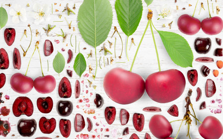 Abstract background made of Sour Cherry fruit pieces, slices and leaves on wooden background.の写真素材