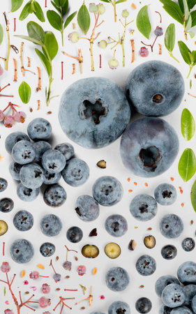 Blueberry fruit piece, slice and leaf collection. Flat lay, seamless abstract, isolated on gray background.の写真素材