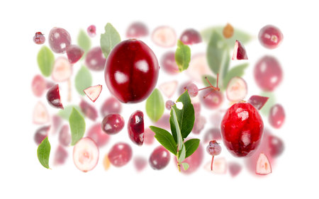 Abstract background made of Cranberry fruit pieces, slices and leaves isolated on white.の写真素材