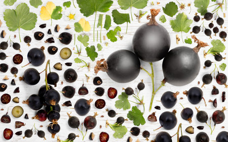 Abstract background made of Black Currant fruit pieces, slices and leaves on wooden background.の写真素材