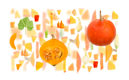 Abstract background made of Pumpkin vegetable pieces, slices and leaves isolated on white.の写真素材