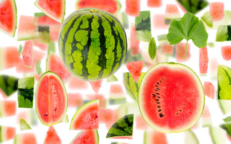 Abstract background made of Watermelon fruit pieces, slices and leaves isolated on white.の写真素材