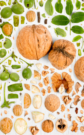 Abstract background made of Walnut pieces, slices and leaves on wooden background.の写真素材