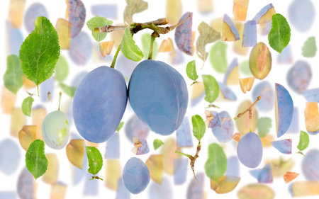 Abstract background made of Plum fruit pieces, slices and leaves isolated on white.の写真素材