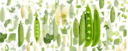 Abstract background made of Green Pea vegetable pieces, slices and leaves isolated on white.の写真素材