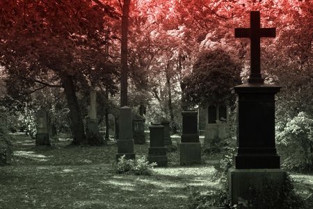 Cemetery Image with Crossesの写真素材