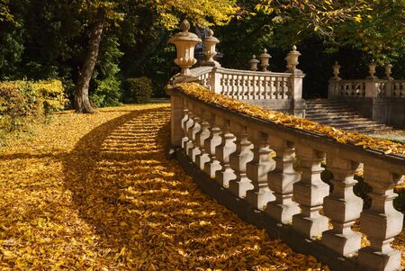 Walkway Through Peaceful Autumn Scenery with Stepsの写真素材