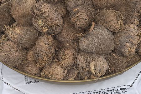Rose Of Jericho, an annual herb tumbleweedの写真素材