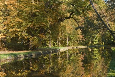 Autumn View Of Colorful Foliage With Streamの写真素材