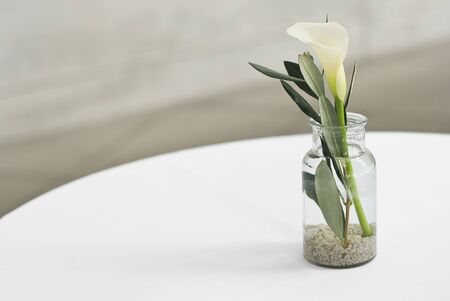Calla Lily with Leaves in a Vaseの写真素材