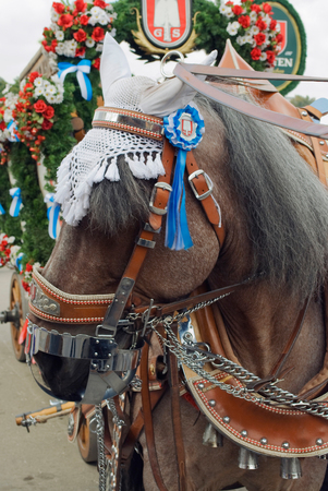 MUNICH, GERMANY - SEPTEMBER 20, 2008: Grand entry of the Oktoberfest Landlords and Breweries. Oktoberfest Parade Horses with Bridle Harness and Brewery Signs. This is the official prelude to the opening of the Oktoberfest in Munich, Germany.のeditorial素材