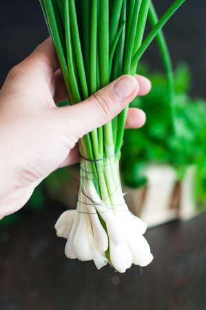 fresh spring onion on the wooden backgroundの写真素材