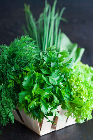 Various Fresh Greens with Lettuce, Mint, Dill and Parsley, Spring onionの写真素材