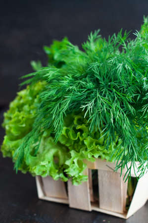 Various Fresh Greens with Lettuce, Mint, Dill and Parsley, Spring onionの写真素材