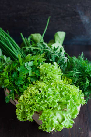 Various Fresh Greens with Lettuce, Mint, Dill and Parsley, Spring onionの写真素材