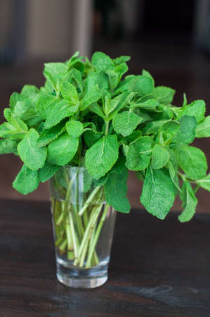 fresh mint leaves in the glass of waterの写真素材