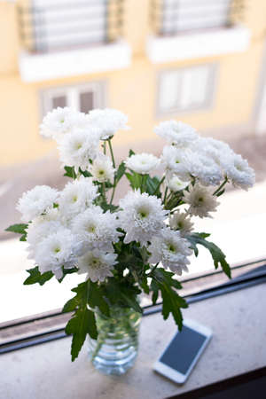 fresh chrysanthemum in vase, on the window sillの写真素材