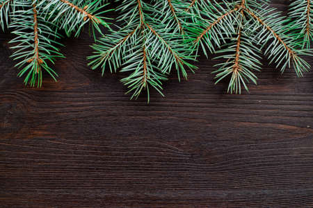 Christmas or New Year decoration background: fur-tree branchesの写真素材