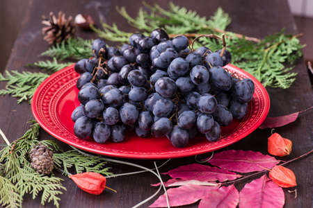 fresh red grapes and fir branch with Christmas decorationsの写真素材