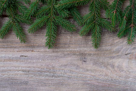 Christmas or New Year decoration background: fir-tree branches